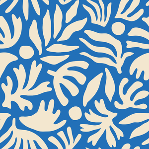 cutie kim在线观看
